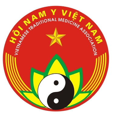Hội Nam Y Việt Nam